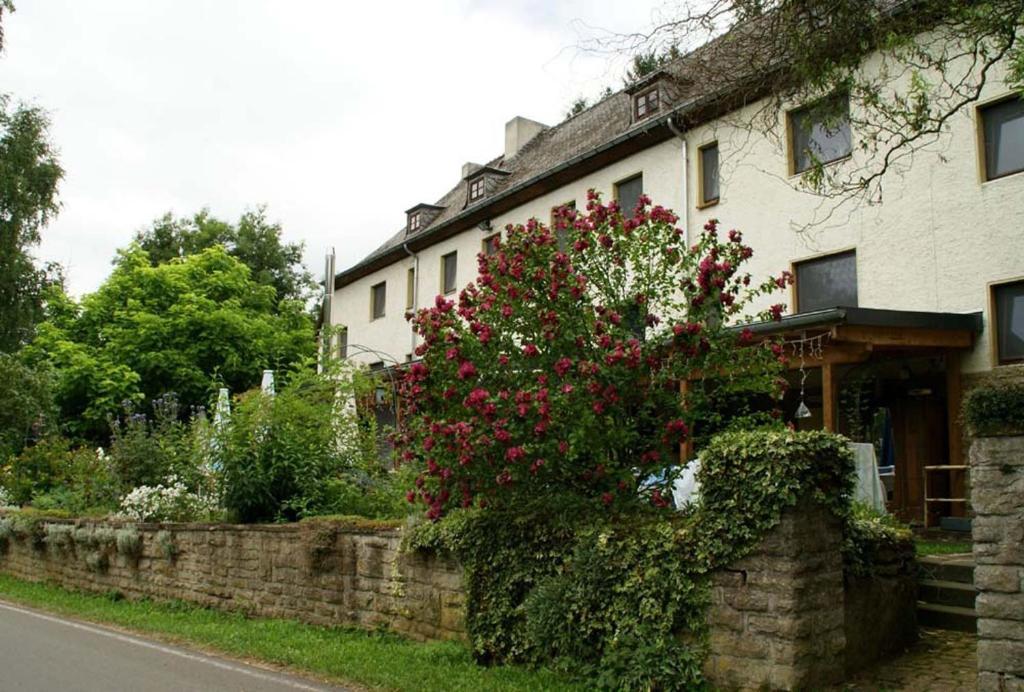 Altes Zollhaus Naehe Luxemburg Hotel Ammeldingen an der Our ภายนอก รูปภาพ